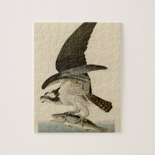 Puzzle Cadeau vintage Audubon Osprey Peinture d'oiseaux
