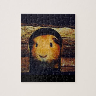 Puzzle Cadeaux de cobaye de gingembre