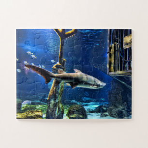 Puzzle Cage de requins