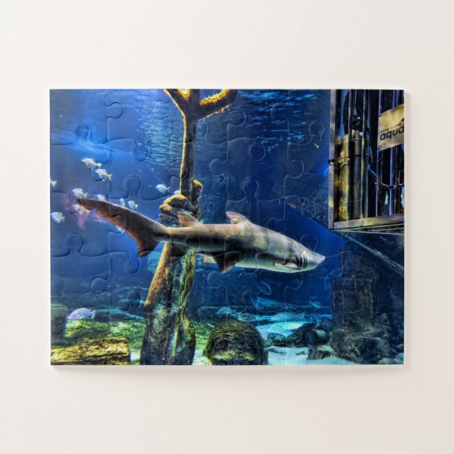 Puzzle Cage de requins (Horizontal)