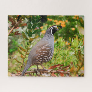 Puzzle Caille Sauvage
