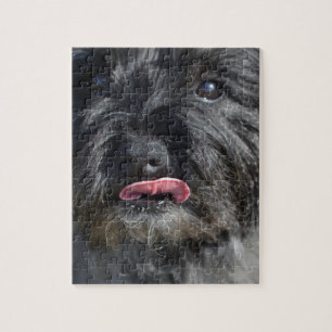 Puzzle Cairn Terrier adorable