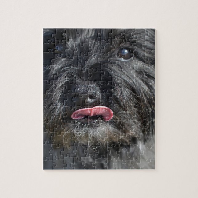 Puzzle Cairn Terrier adorable (Vertical)
