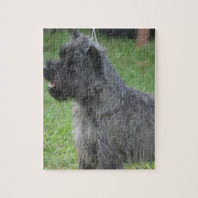 Puzzle Cairn Terrier mignon (Vertical)