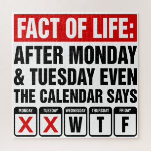 Puzzle Calendrier Fact of Life dit WTF Humour