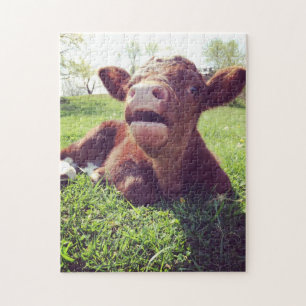 Puzzle Calf Mignonne Qui S'Étend Dans Le Pasture