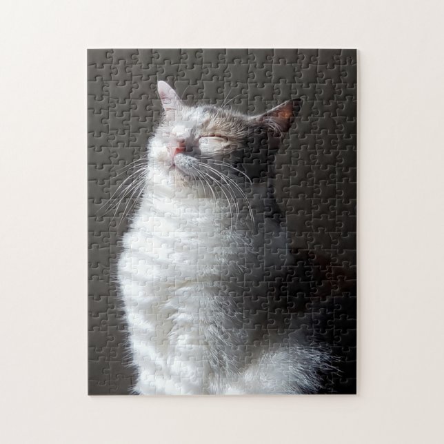 Puzzle Calico (Vertical)
