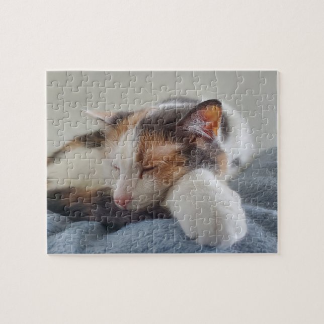 Puzzle Calico (Horizontal)