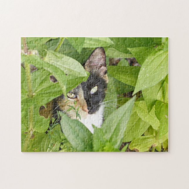 Puzzle Calico Cat dans les Zinnias (Horizontal)
