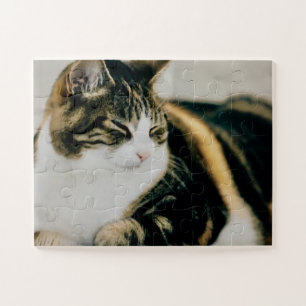 Puzzle Calico Cat Sleeping
