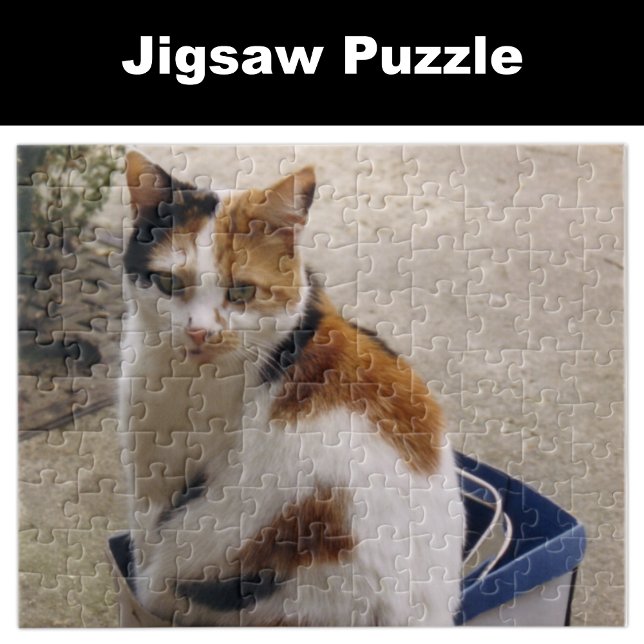 Puzzle Calico chat assis dans une boîte dans le jardin (Créateur téléchargé)