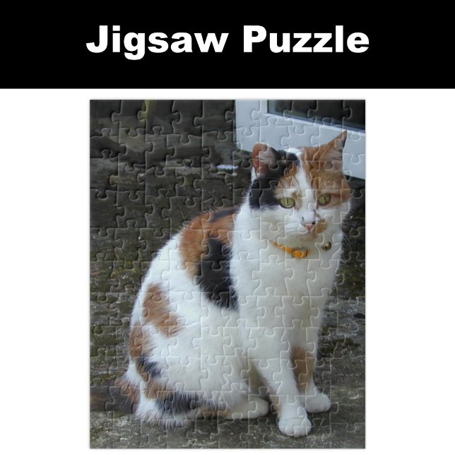 Puzzle Calico chat assis dehors (Créateur téléchargé)