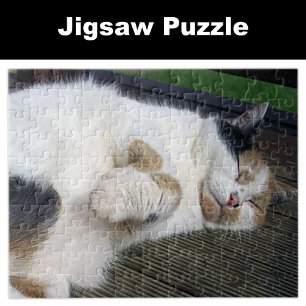 Puzzle Calico chat dormant dehors