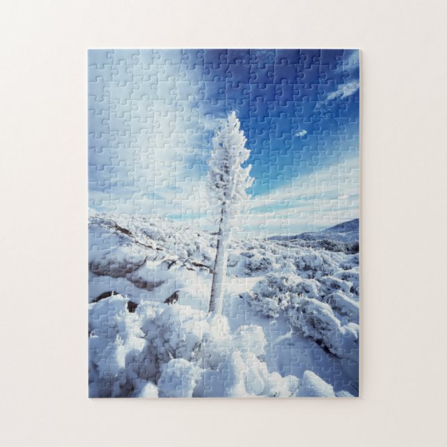 Puzzle California, Anza Borrego Desert State Park 2 (Vertical)