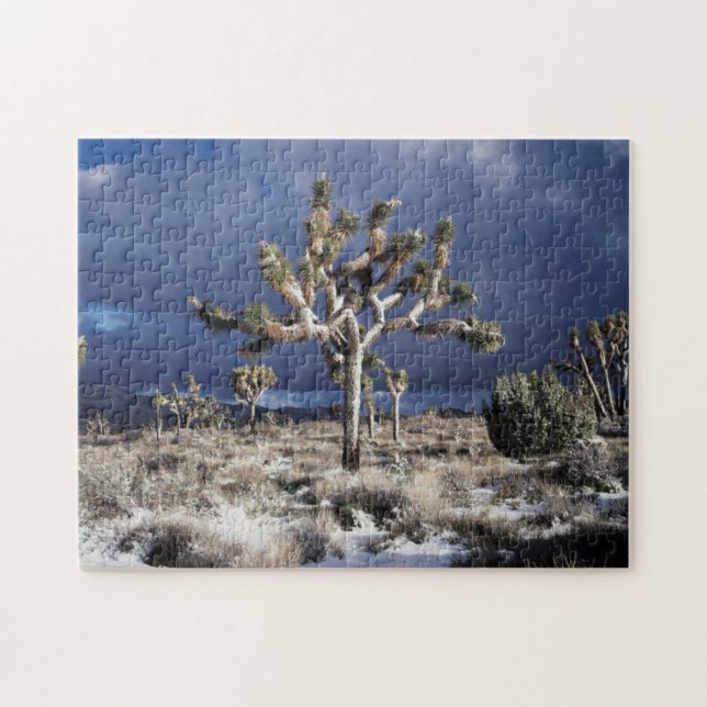 Puzzle Californie, parc national de Joshua Tree (Horizontal)