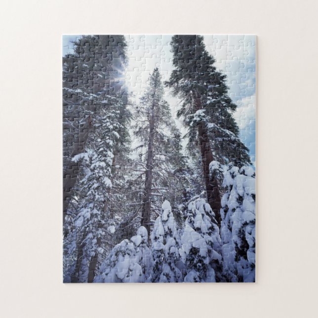 Puzzle Californie, Sierra Nevada Mountains 9 (Vertical)