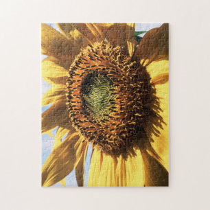 Puzzle Californie, Un Tournesol Mammouth (Helianthus) 1