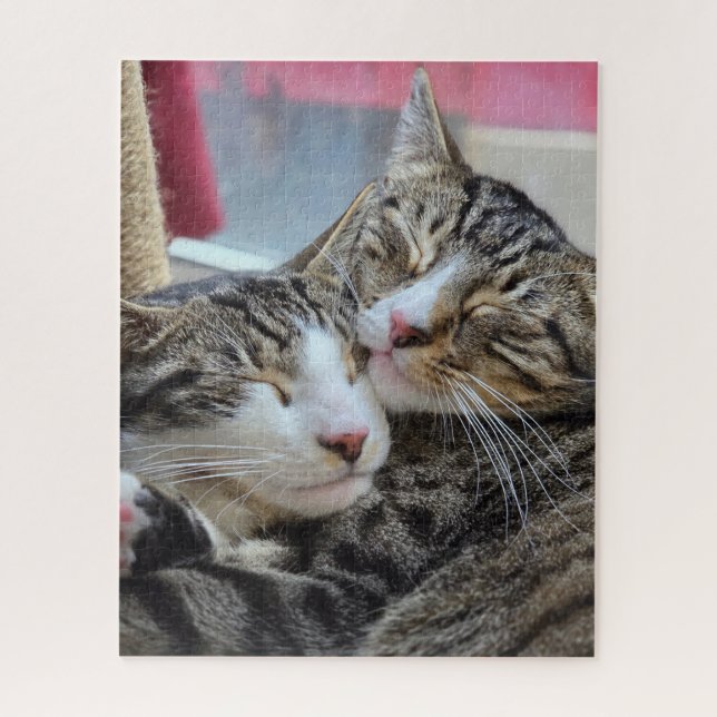 Puzzle Câlins de chat ! (Vertical)