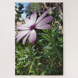 Puzzle Calme du matin : Fleur rose pâle aux pétales doux