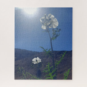 Puzzle Calme matinal : Fleur de crème dans une lumière tr