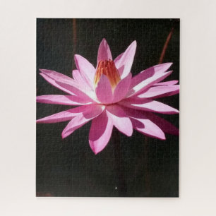 Puzzle Calme matinal : Lotus rose dans une lumière nature