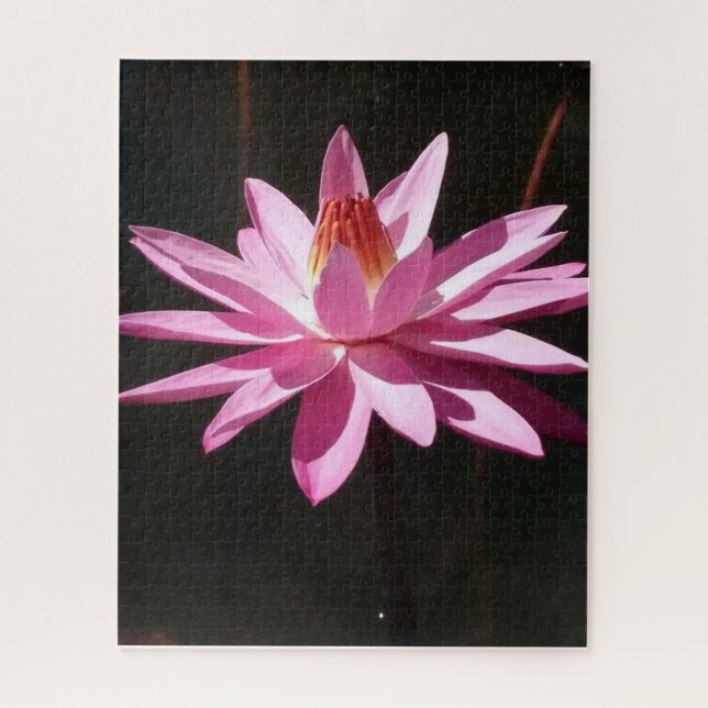 Puzzle Calme matinal : Lotus rose dans une lumière nature (Vertical)