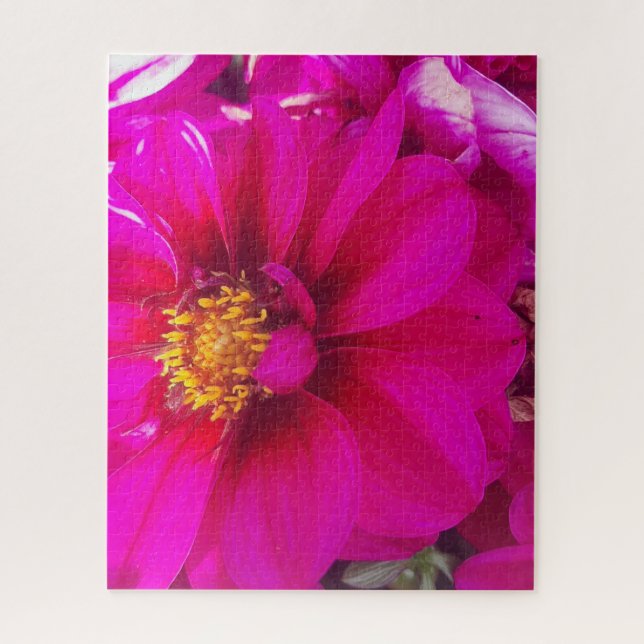Puzzle Calme matinal : Marguerite rose pâle avec centre d (Vertical)