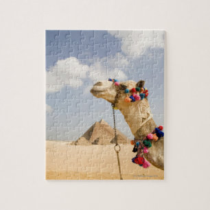 Puzzle Camel avec Pyramides Gizeh, Egypte