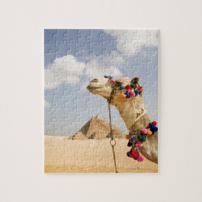 Puzzle Camel avec Pyramides Gizeh, Egypte (Vertical)
