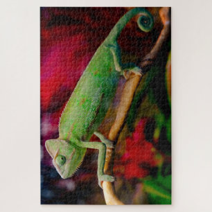 Puzzle Caméléon vert sur la branche