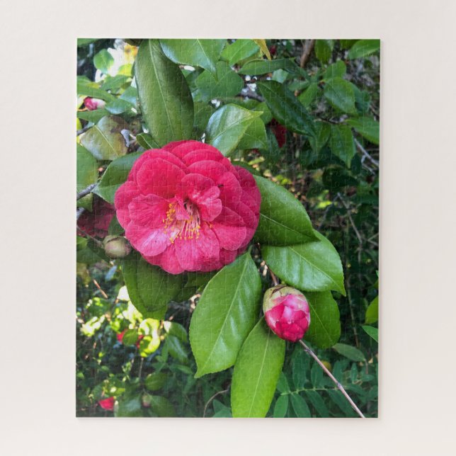 Puzzle Camélia rouge, Palo Alto (Vertical)