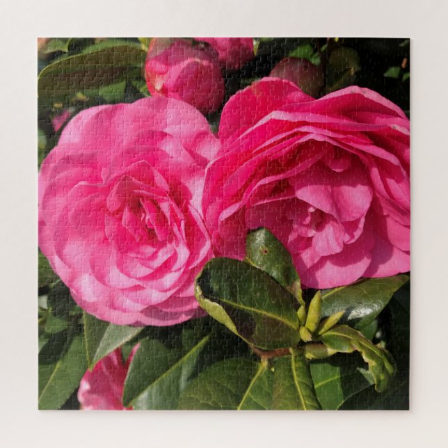 Puzzle Camellia rose (Vertical)
