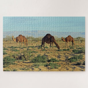 Puzzle Camels, Tunisie 1014-pc