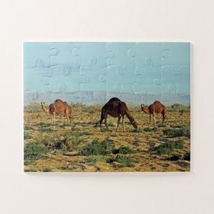 Puzzle Camels, Tunisie 30-