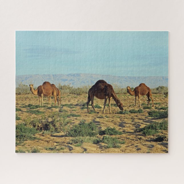 Puzzle Camels, Tunisie 520-pc (Horizontal)