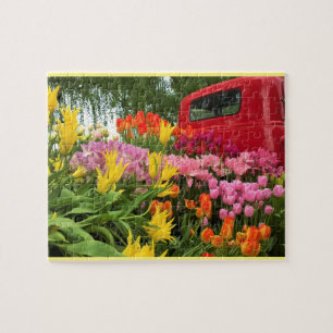 Puzzle Camion rouge avec tulips, Oregon