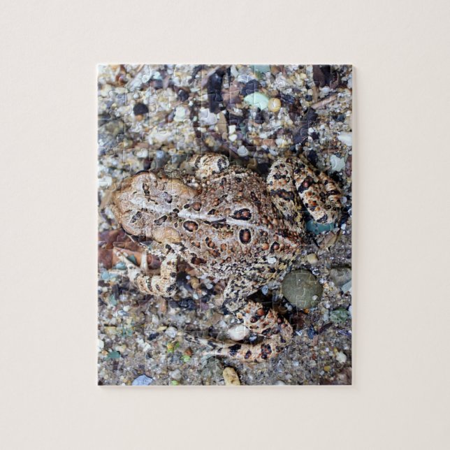Puzzle Camoflouge Grenouille Toad Amphibian (Vertical)