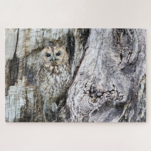 Puzzle Camouflage de hibou faune oiseau de proie prédateu