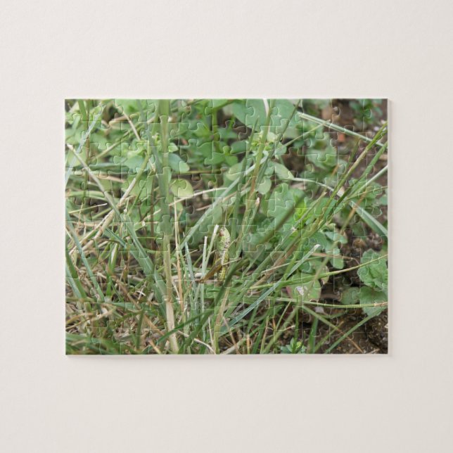 Puzzle Camouflage de sauterelles (Horizontal)