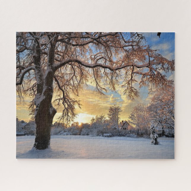 Puzzle Campagne d'hiver en Lettonie (Horizontal)