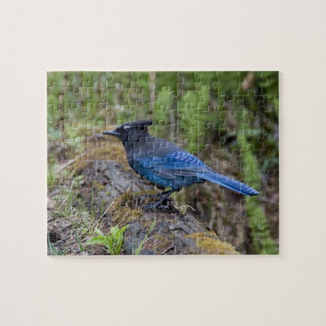 Puzzle Canada :  Colombie-Britannique, parc national Yoho (Horizontal)