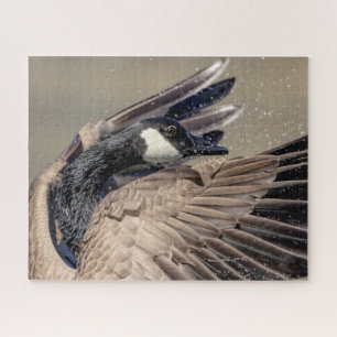 Puzzle Canada Goose