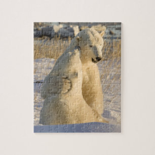 Puzzle Canada, Manitoba, baie d'Hudson, Churchill.