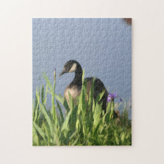 Puzzle Canada Oie Irises Nature Peinture