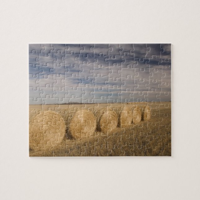 Puzzle Canada, Saskatchewan, Craik : Roulements de foin / (Horizontal)