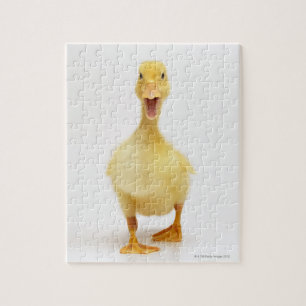 Puzzle Canard