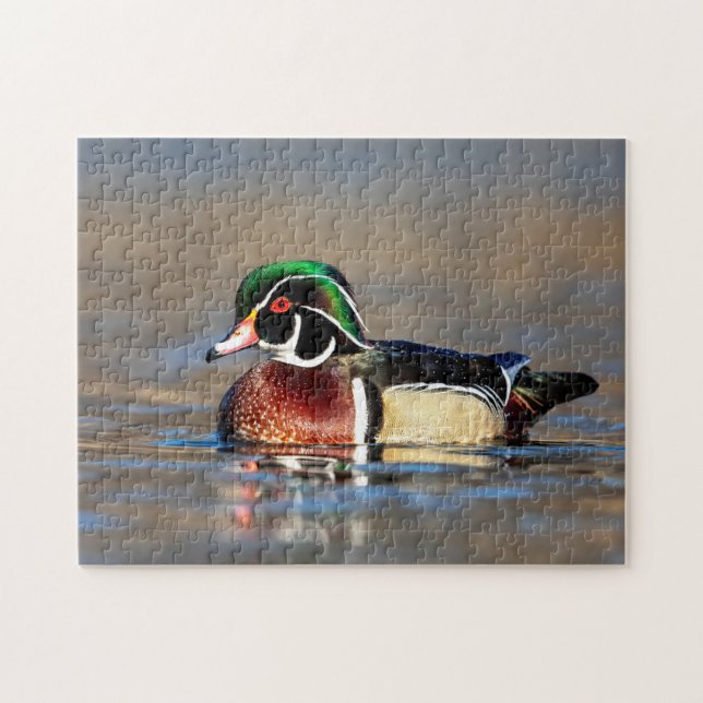 Puzzle Canard à bois dans la vallée de l'Hudson (Horizontal)