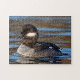 Puzzle Canard à tête de lit sucrée sur les eaux éclairées