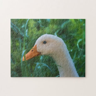 Puzzle Canard blanc de Pekin