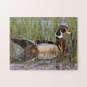 Puzzle Canard branchu dans une zone humide